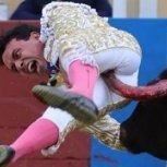 Matador